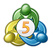 MT5
